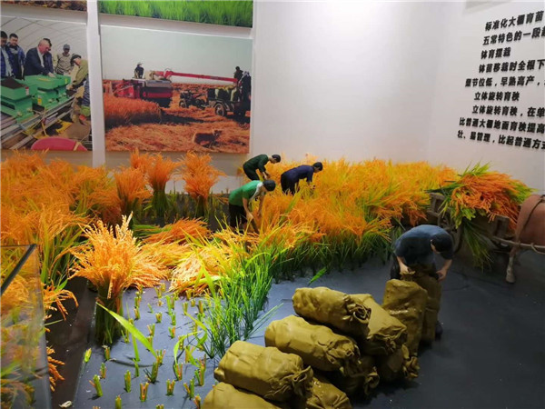 �峣�����^΢�;��^���� (6)